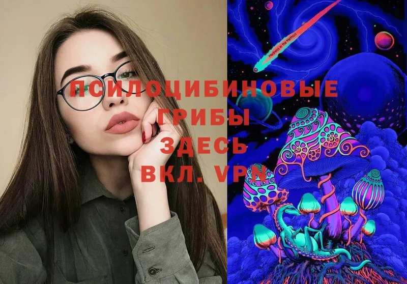 Галлюциногенные грибы Psilocybe  где найти   mega маркетплейс  Магадан 